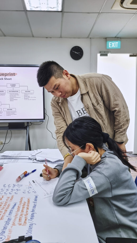 Subject Mentoring