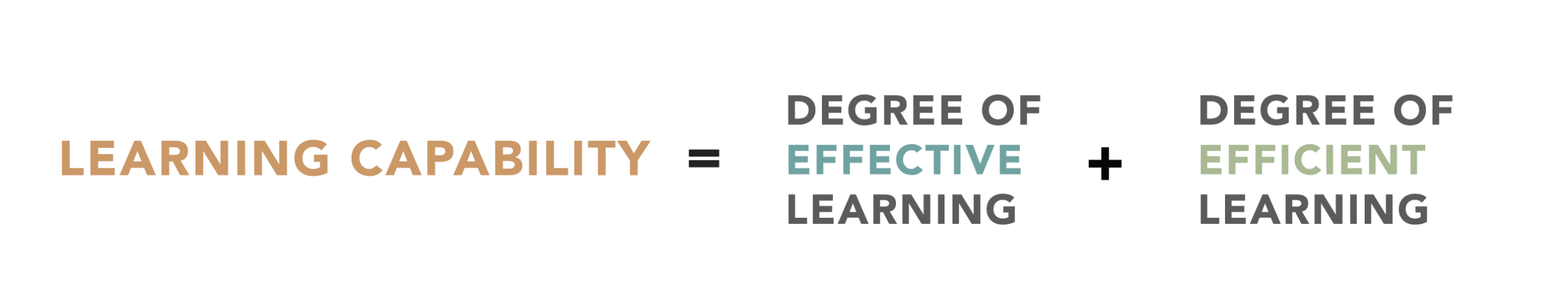 Learning Capability = how well + how fast one learns